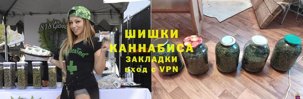mdpv Каменка